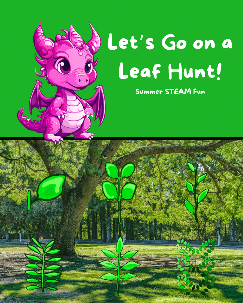 🍃 Let’s Go on a Leaf Hunt! 🍃